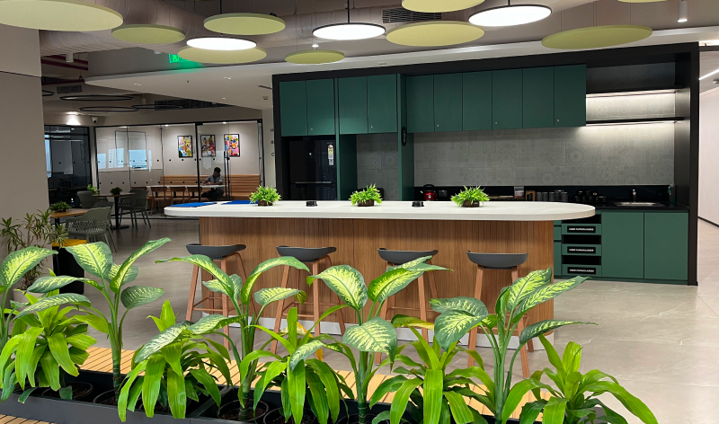 A Green Lively Workspace
