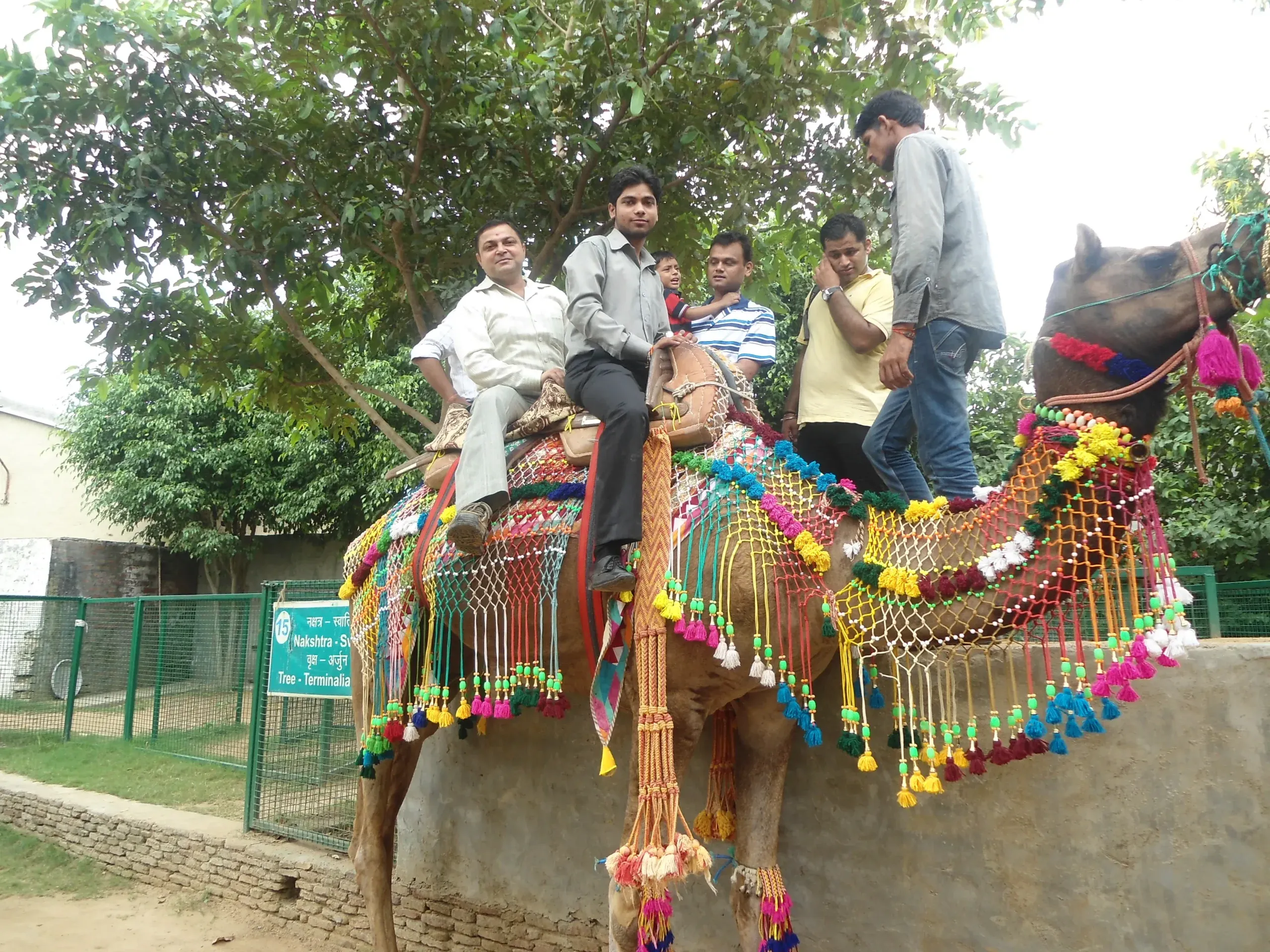 Day Out at PratapGarh Farms scaled